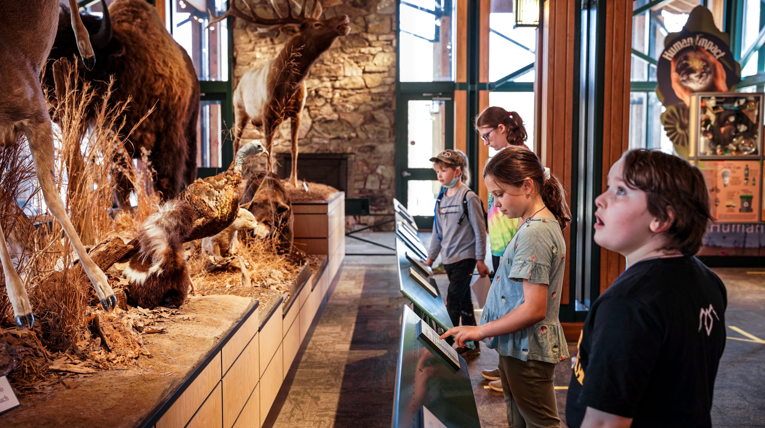 Marvel at a world of nature at the Lichterman Nature Center.