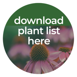 LNC plant sale list
