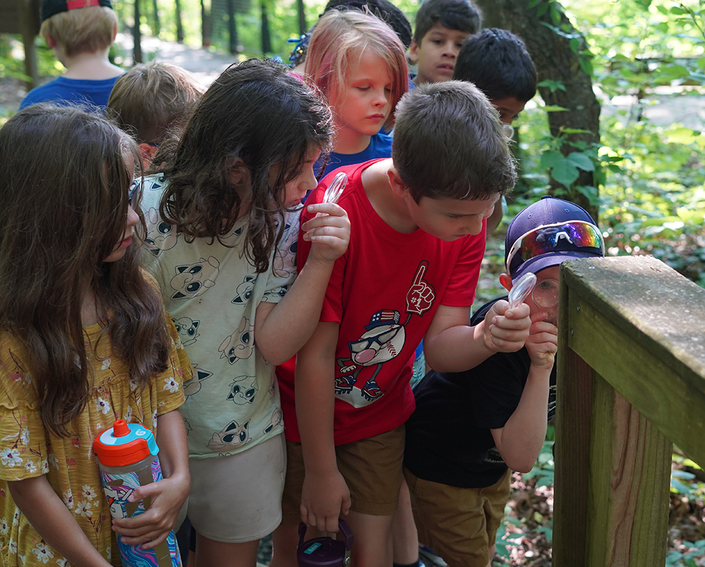 Summer Camps