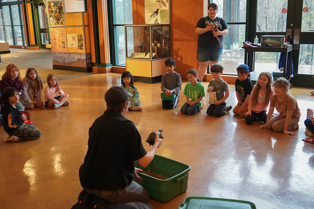 Public Programming