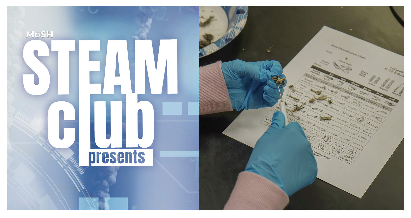STEAM Club Presents banner